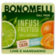 Bonomelli Infusi Fruttosi 100% Naturali Lime e Mandarino 12 Filtri 24 g