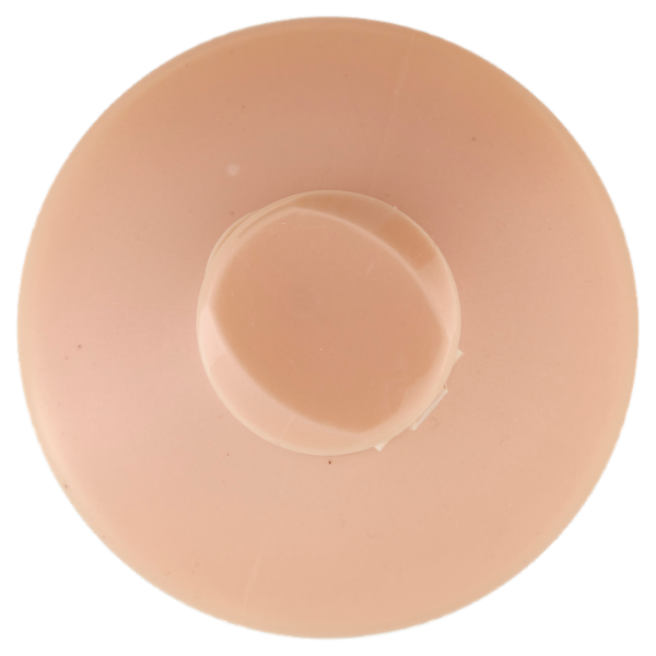 Franck Provost Balsamo Professionale Expert Lissage per capelli facili da lisciare, 750 ml