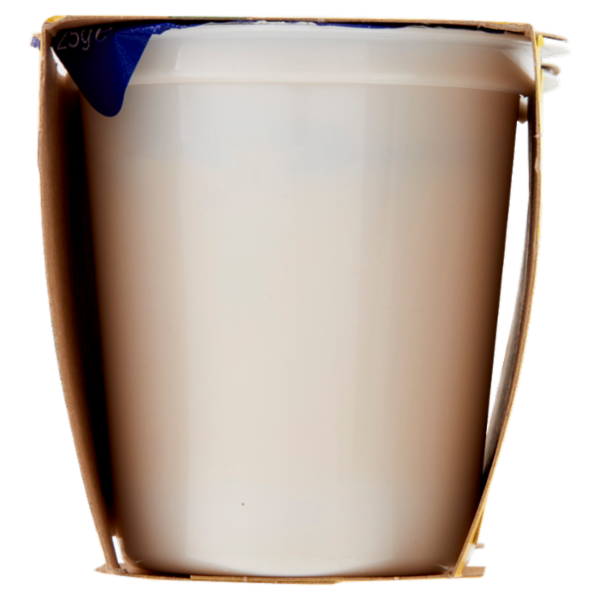 Centrale del latte Vicenza Yogurt Goloso Intero Mango & Maracuja 2 x 125 g