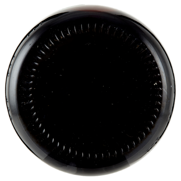 Fiorentini Bio Salsa di Soia 250 ml