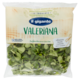 IL GIGANTE le Insalate Valeriana 100 g