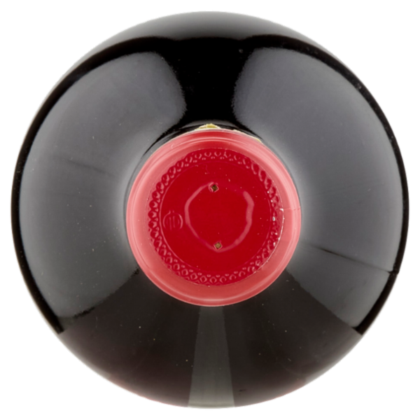 Leonardo Da Vinci Chianti DOCG 750 ml