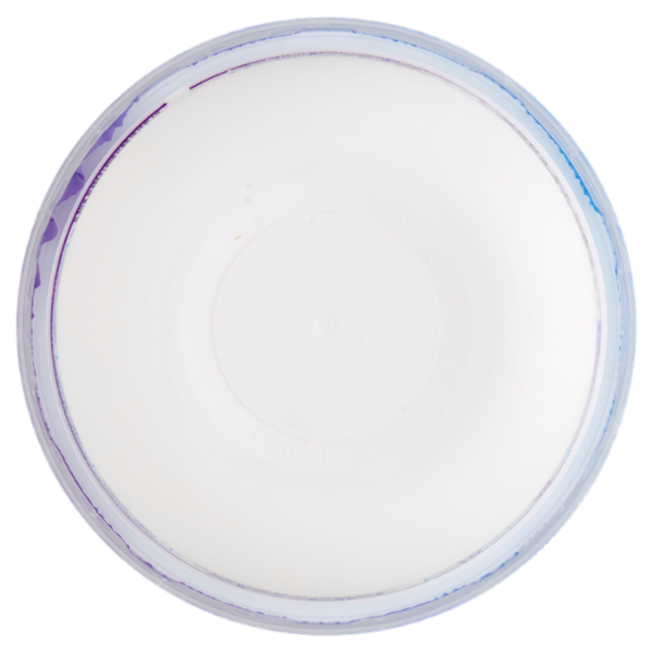 lattebusche Mascarpone 250 g