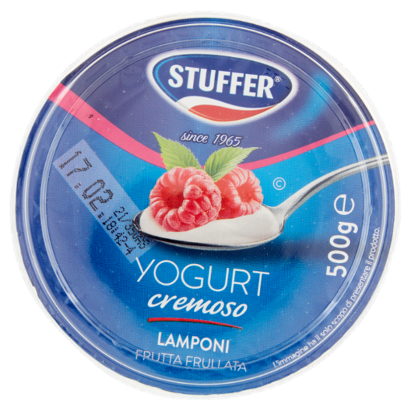 Stuffer Yogurt cremoso Lamponi Frutta Frullata 500 g
