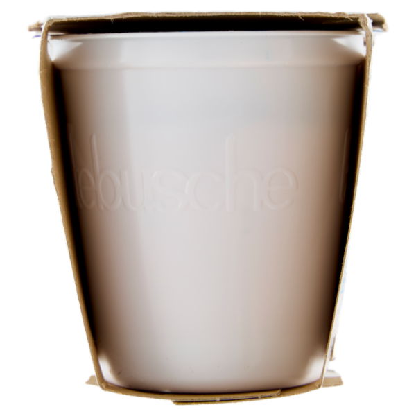 lattebusche yogurt Frutti di Bosco 2 x 125 g