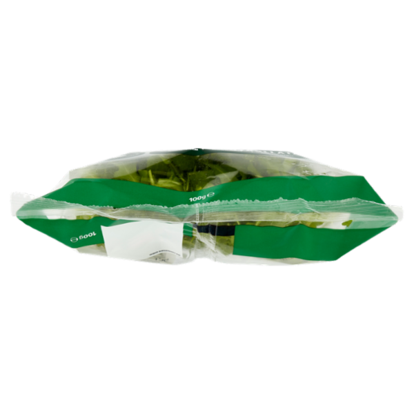 Consilia Rucola Lavata e Pronta da Condire 100 g