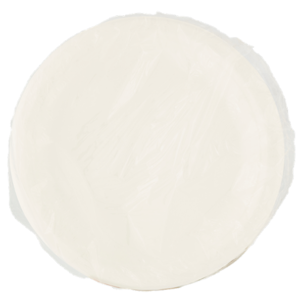 Vanto Piatti Frutta in Polpa di Cellulosa Biodegradabili e Compostabili 50 pezzi