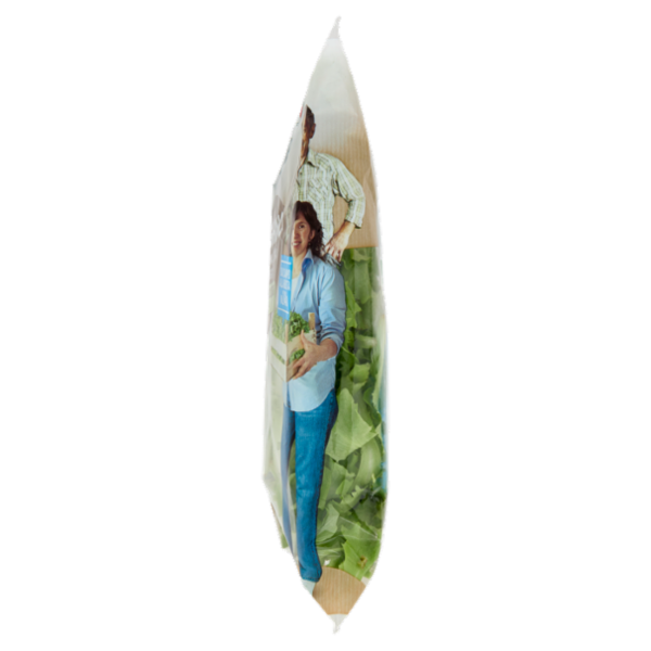 Bonduelle Lattughino 90 g