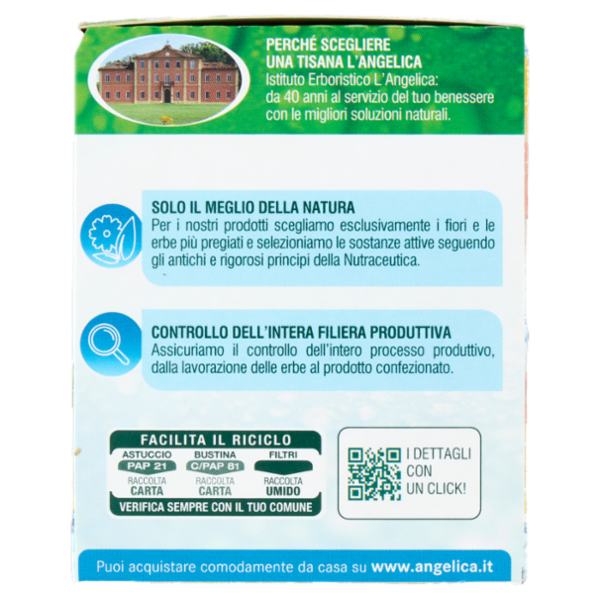 L'Angelica Tisana Fredda Ricarica con Magnesio Limone con Guaranà 18 Filtri 36 g