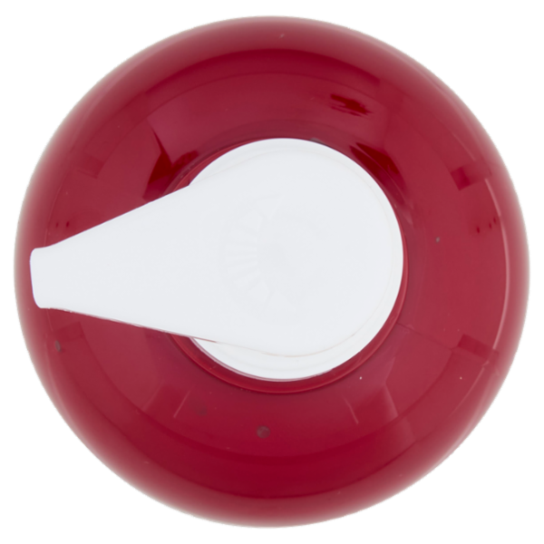 Alama Professional S.O.S. Color & Go Maschera nutriente e colorante Rosso 300 ml