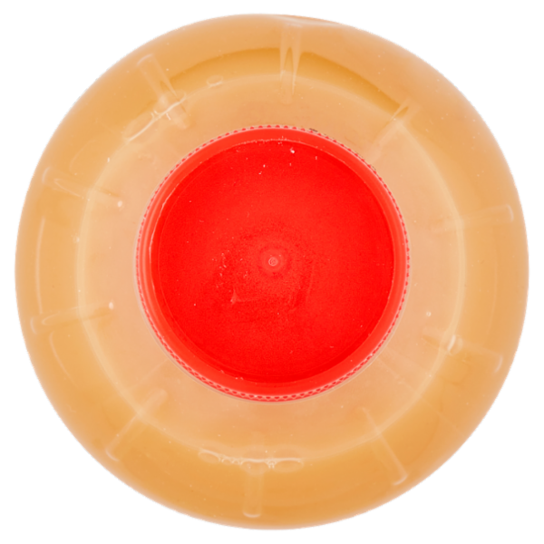 Consilia Succo e Polpa di Pesca 1 L