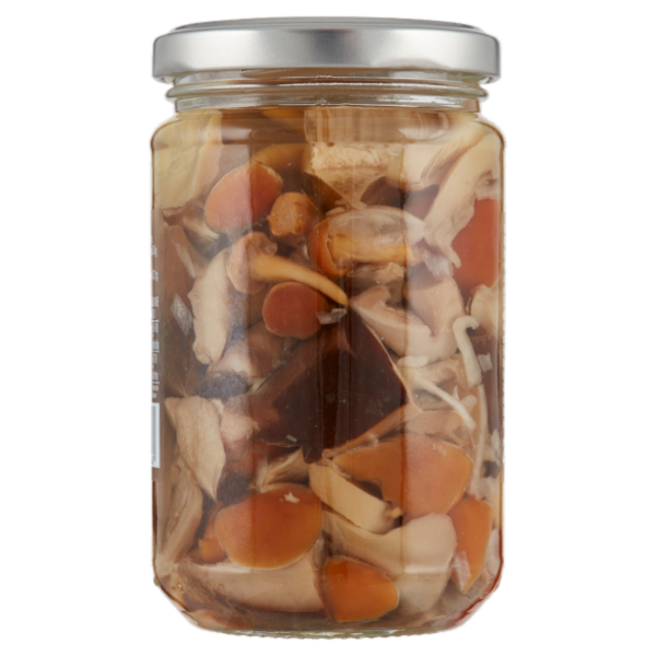 Selex Funghi Misti in Olio di Semi di Girasole 280 g