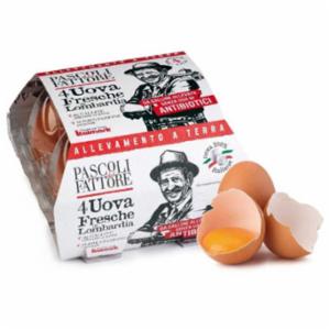 Pascoli Del Fattore 4 Uova Fresche Bresciane