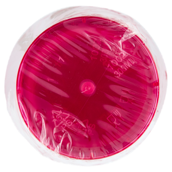 Smart Reusable Bicchieri Fuchsia 300 ml 8 pz