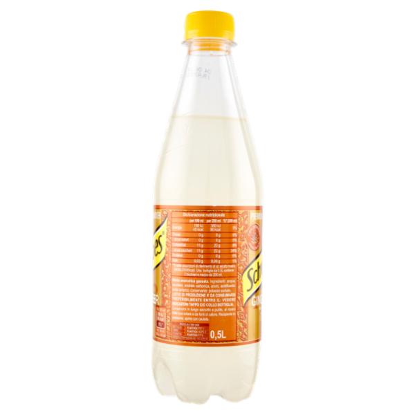 Schweppes Ginger Beer PET 0,5 L