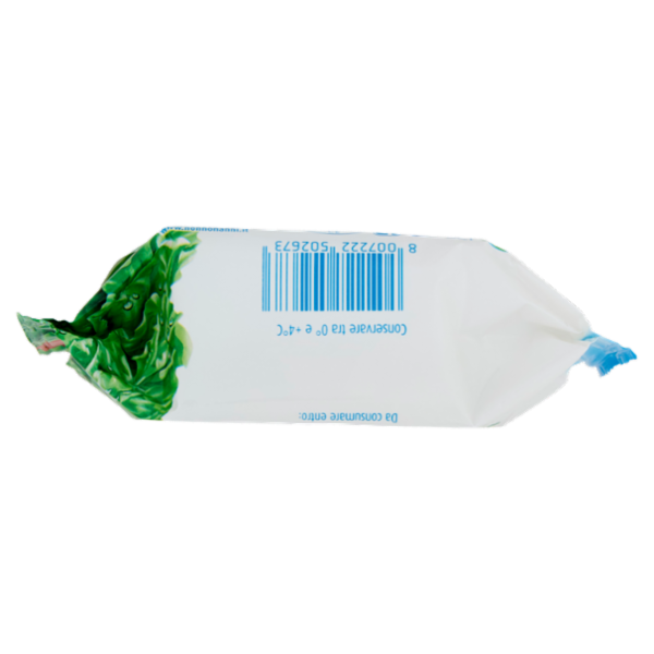 Nonno Nanni stracchino con fermento Probiotico 100 g