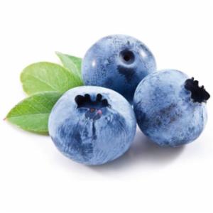 I Piccoli Mirtilli 125 G