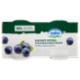 mila Yogurt Intero Mirtillo 2 x 125 g