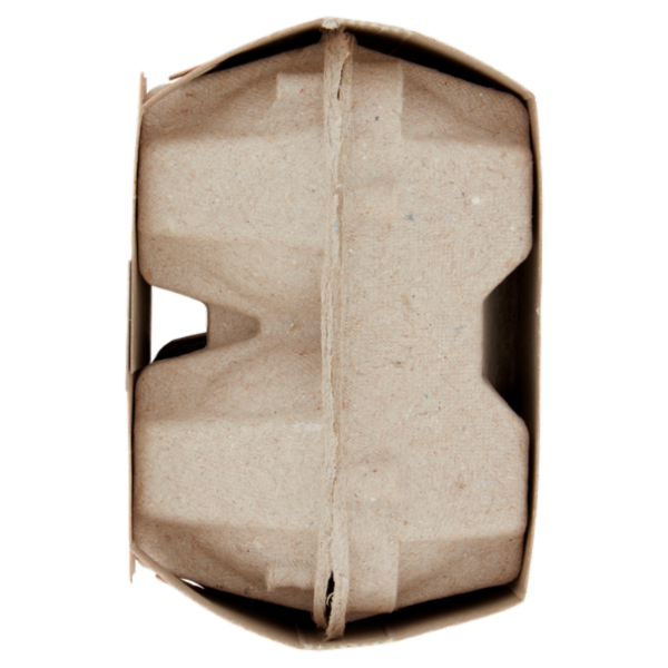 Consilia 6 Uova Fresche Grandi da Allevamento a Terra