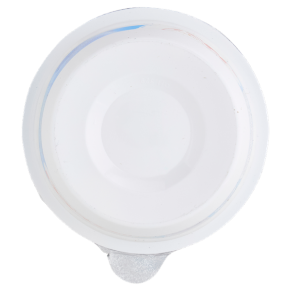 Jocca fiocchi di latte a base di formaggio fresco magro - 175g