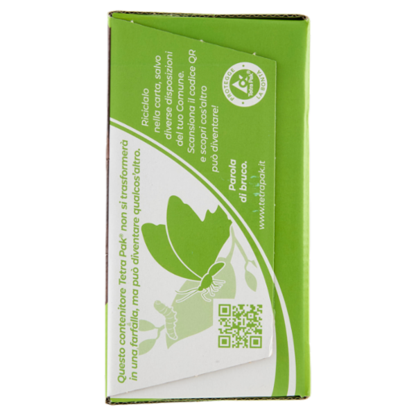 Valfrutta i Triangolini Pera Italiana succo e polpa Brik 12 x 100 ml