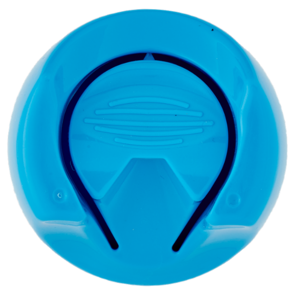 Citrosil Home Protection Spray Disinfettante con vere essenze di menta 300 ml