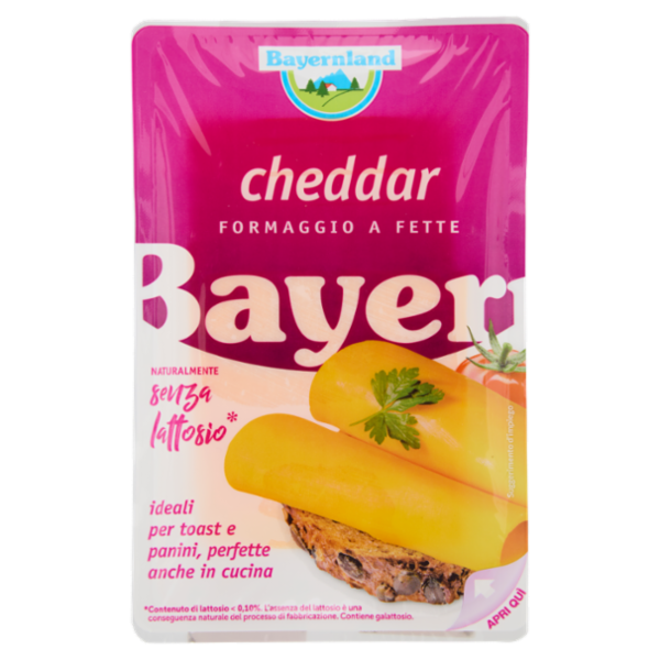 Bayernland cheddar Formaggio a Fette 100 g
