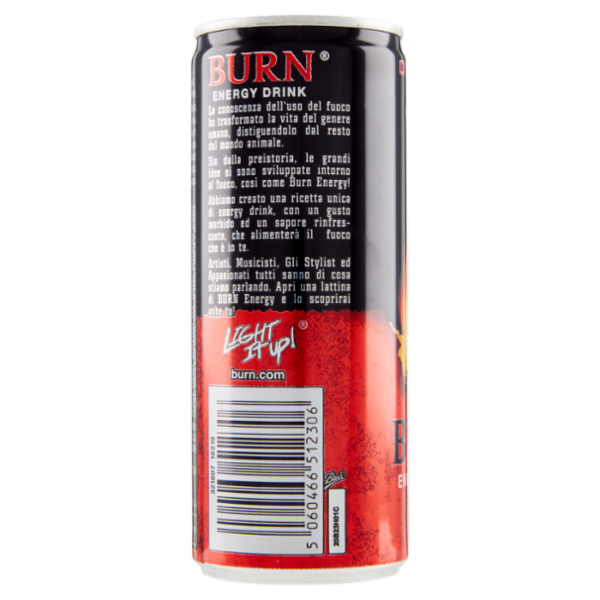 Burn Original Slim Can 250 ml