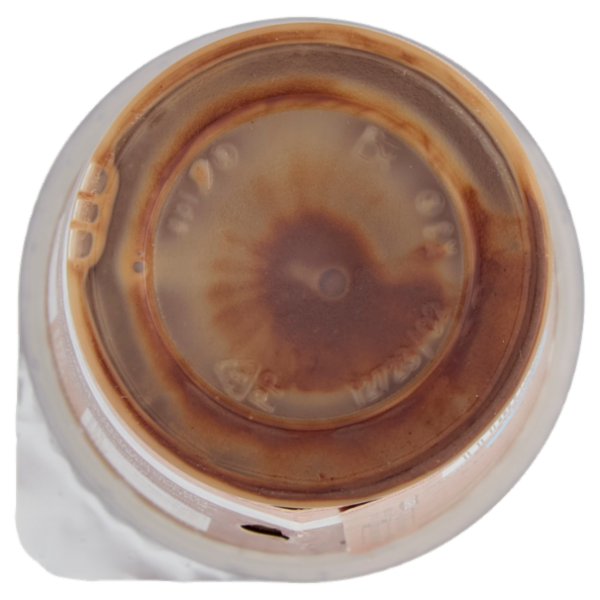 NESCAFÉ Latte gusto Cookies 205ml