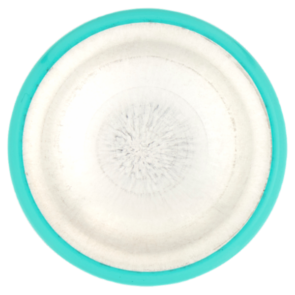 L'Oréal Paris Ritocco Perfetto Spray Istantaneo Ritocco Radici, i Neri, 75 ml