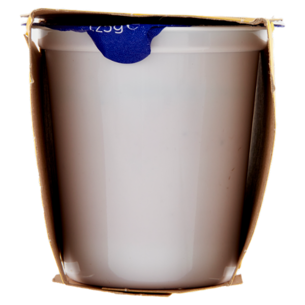 Centrale del latte Vicenza Yogurt Intero Frutta Frullata Frutti di Bosco 2 x 125 g