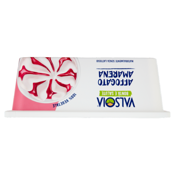 Valsoia Bontà e Salute Vaschetta Affogato Amarena 500 g