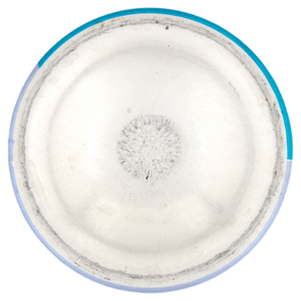 Nivea Volume Care Styling Mousse 150 ml