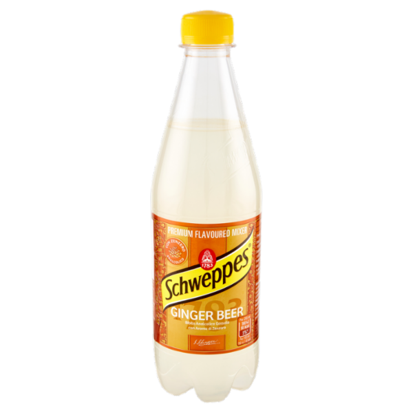 Schweppes Ginger Beer PET 0,5 L