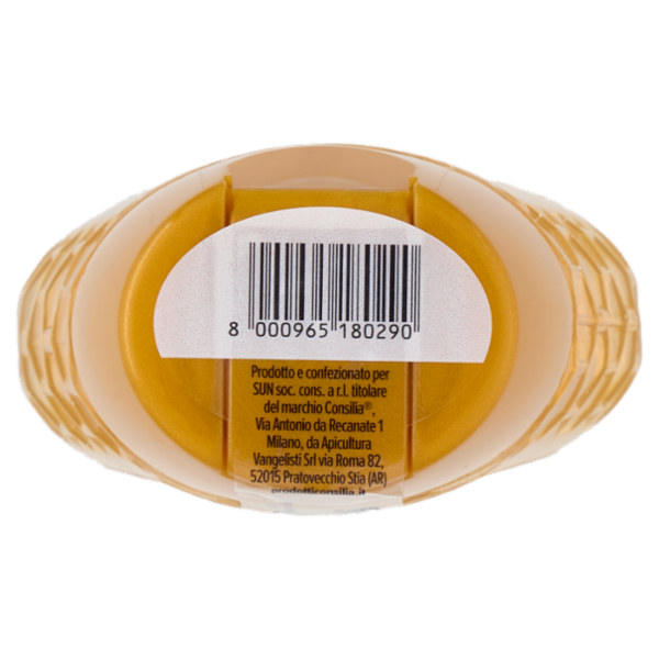 Consilia Miele di Acacia con Tappo Dosatore 250 g