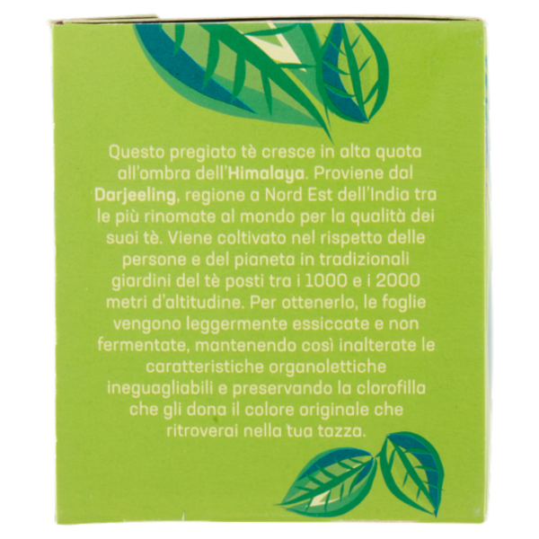 altromercato Bio tè verde 20 Filtri 40 g