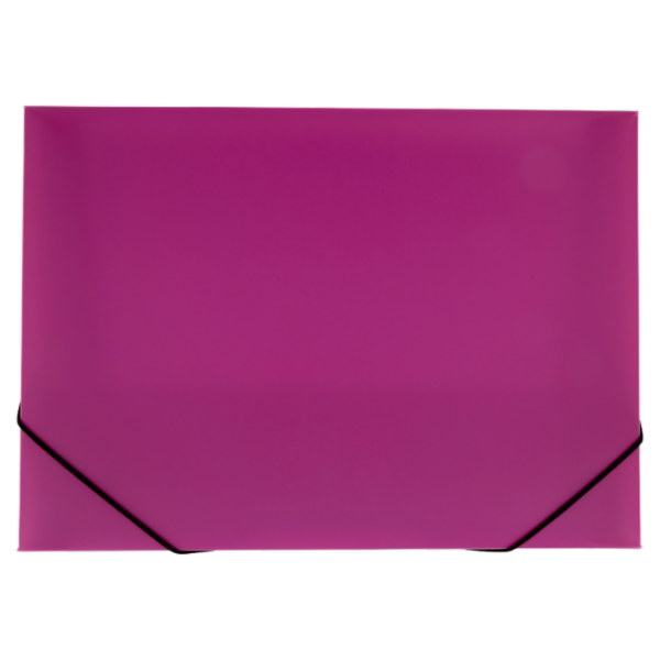 Selex Cartelletta in Plastica 3 Lembi con Elastico Angolare Dorso 3 cm Formato A4