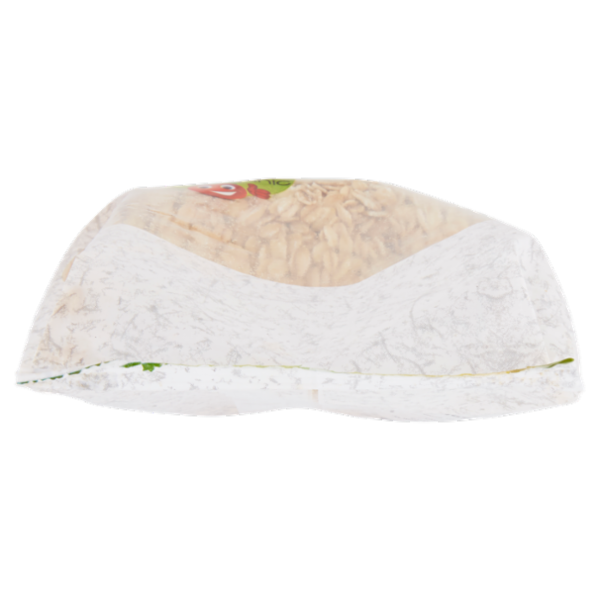 Vivibio Fiocchi di Avena Integrale 500 g