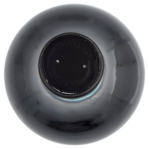 Pasqua Limited Edition Valpolicella Ripasso DOC Superiore 750 ml