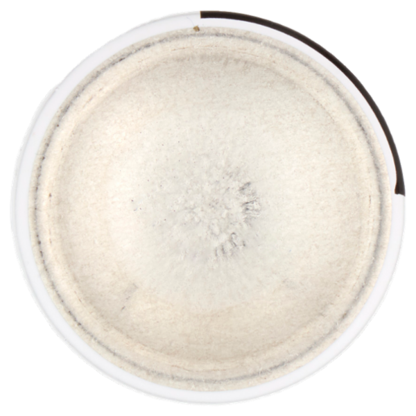 Nivea Black & White Invisible Original Anti-Perspirant 35 ml