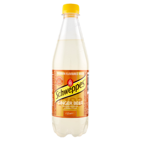 Schweppes Ginger Beer PET 0,5 L