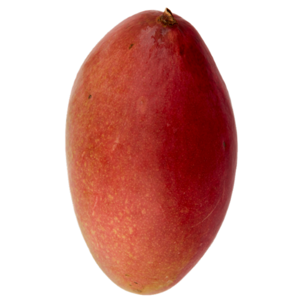 Selex Saper di Sapori Mango 380 g