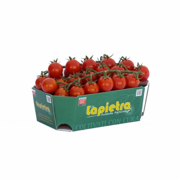 Ciliegino Extra Gr400