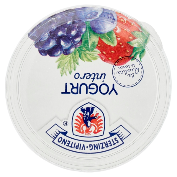 Sterzing Vipiteno Yogurt intero Frutti di Bosco 500 g