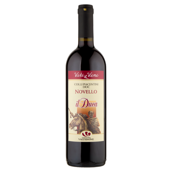 Cantina Valtidone Viti & Vini il Duca Colli Piacentini DOC Novello 0,75 l