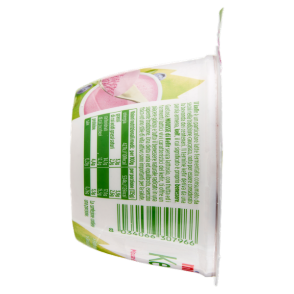 Milk Kefir Mousse al Mirtillo 125 g