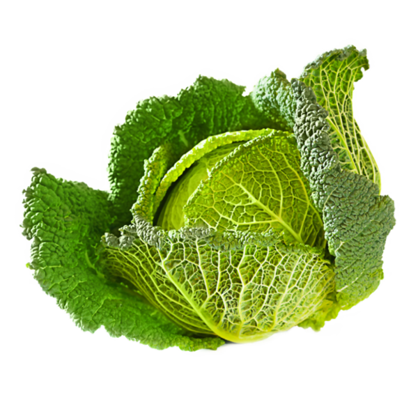CAVOLI VERZE VERDI PIEMONTE