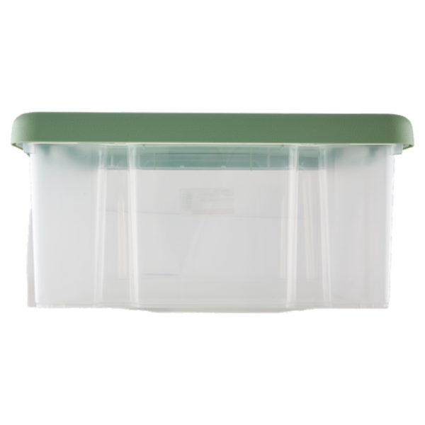 Selex Contenitore con Coperchio a Scatto Verde Cammeo 14 L