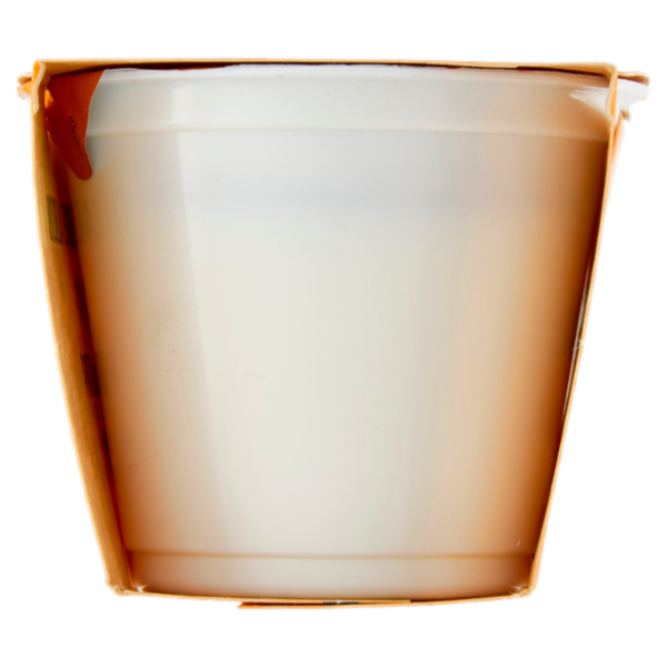 Fattoria Scaldasole Bianco Magro yogurt biologico 2 x 115 g