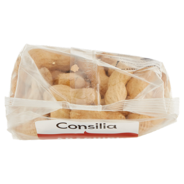 Consilia Frutta Secca Arachidi Sgusciate Tostate e Salate Giganti 250 g